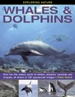Exploring Nature: Whales & Dolphins - Kerrod, Robin