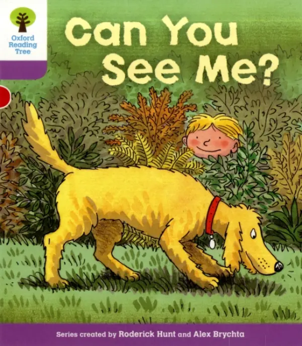 Oxford Reading Tree: Level 1+: More First Sentences C: Can You See - Hunt, Roderick