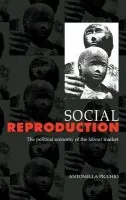 Social Reproduction - Picchio, Antonella (Universita degli Studi di Modena, Italy)