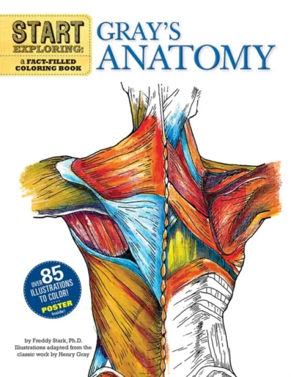 Start Exploring: Gray's Anatomy - Stark, Freddy