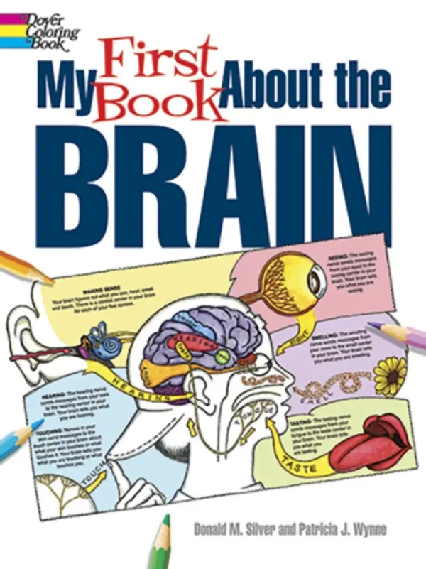 My First Book About the Brain - Wynne, Patricia J. a Silver, Donald M.