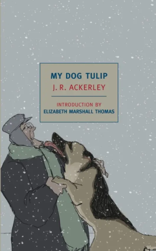 My Dog Tulip - J. R. Ackerley