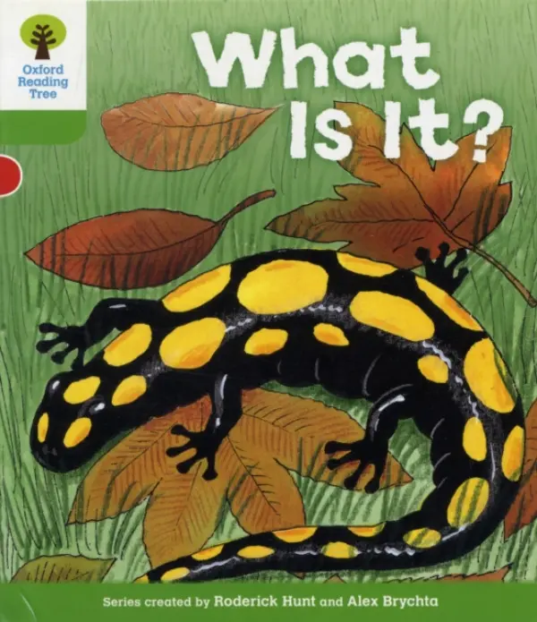 Oxford Reading Tree: Level 2: More Patterned Stories A: What Is It? - Hunt, Roderick