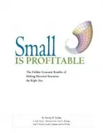 Small is Profitable - Lovins, Amory B.