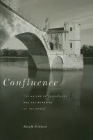 Confluence - Pritchard, Sara B.