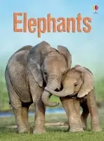 Elephants - Maclaine, James