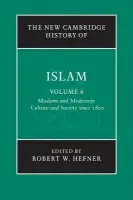 New Cambridge History of Islam