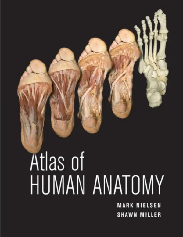 Atlas of Human Anatomy - Nielsen, Mark (University of Utah) a Miller, Shawn D.
