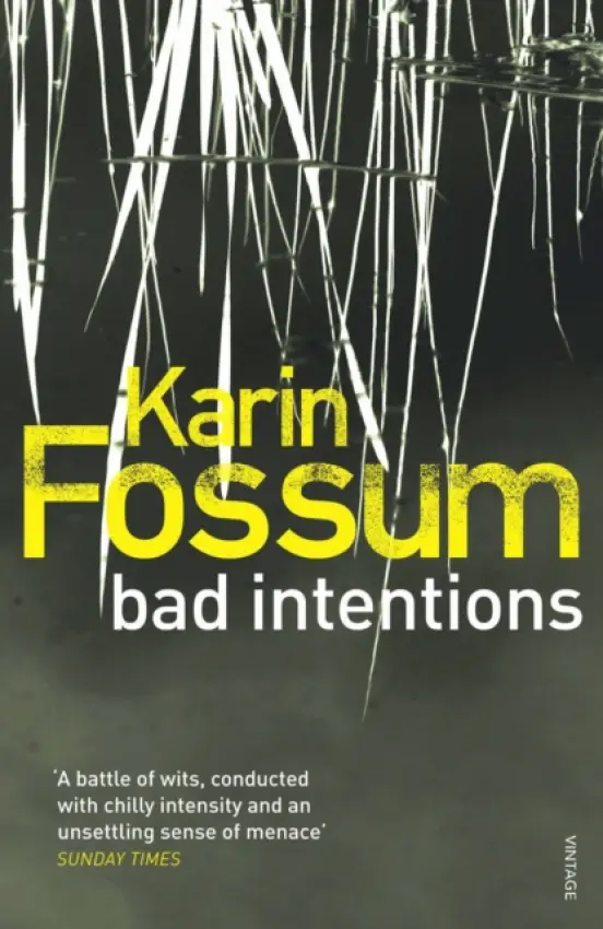 Bad Intentions - Fossum, Karin