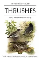 Thrushes - Clement, Peter a Hathway, Ren