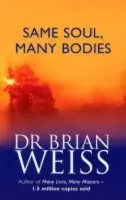 Same Soul, Many Bodies - Dr. Brian Weiss