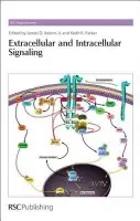 Extracellular and Intracellular Signaling