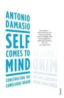 Self Comes to Mind - Damasio, Antonio