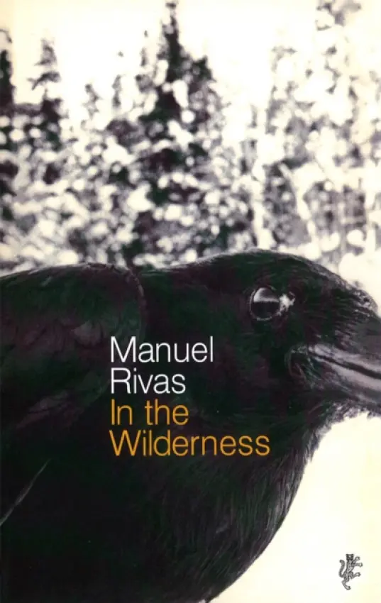 In The Wilderness - Rivas, Manuel