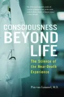 Consciousness Beyond Life - van Lommel, Pim