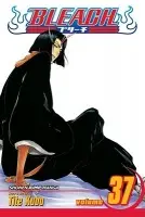 Bleach, Vol. 37 - Tite Kubo