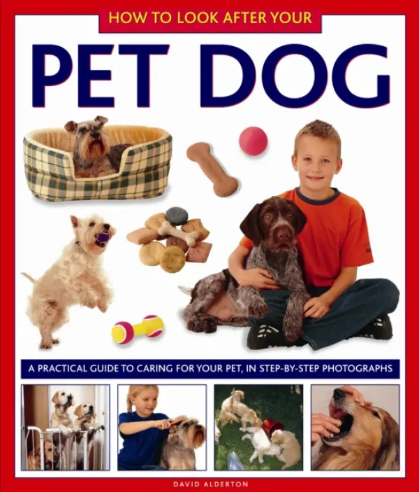 How to Look After Your Pet Dog - Alderton, David