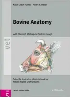 Bovine Anatomy - Budras, Klaus-Dieter, DVM, PhD a Habel, Robert E.