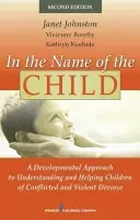 In the Name of the Child - Johnston, Janet a Roseby, Vivienne a Kuehnle, Kathryn