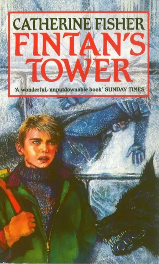Fintan's Tower - Fisher, Catherine