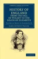 History of England from the Fall of Wolsey to the Death of Elizabeth - Froude, James Anthony
