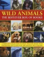 Wild Animals Best Ever Box of Books - Taylor, Barbara
