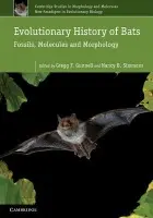 Evolutionary History of Bats