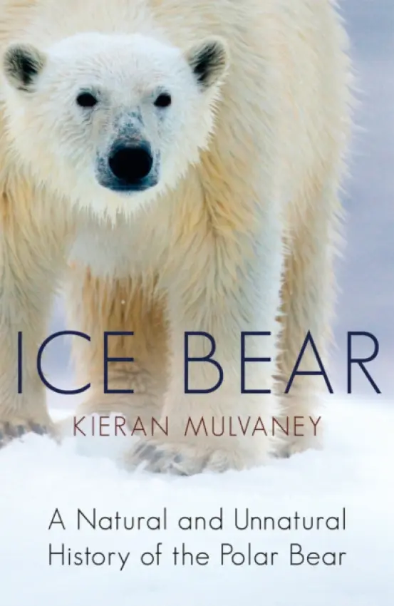 Ice Bear - Mulvaney, Kieran