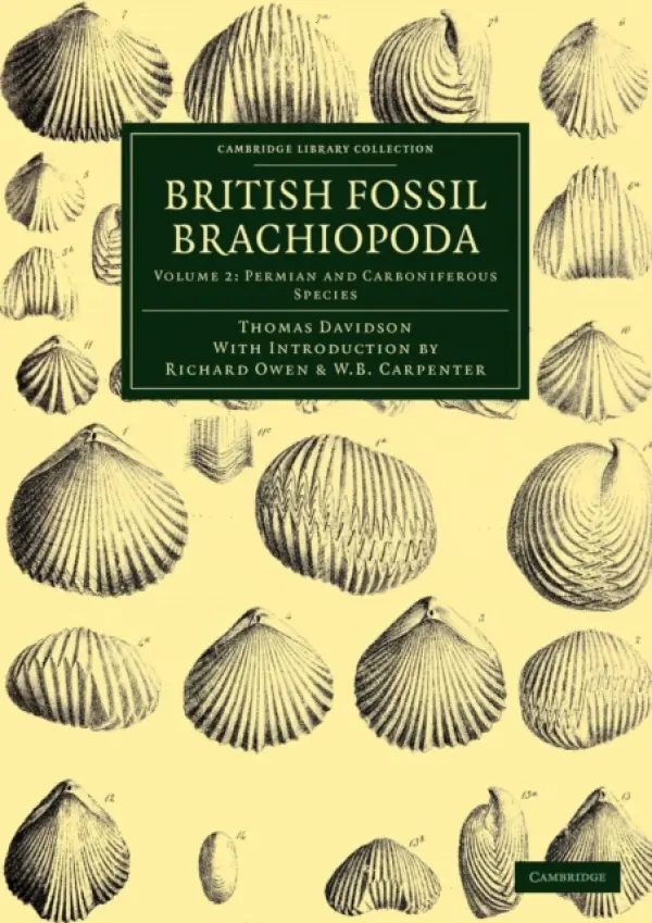 British Fossil Brachiopoda - Davidson, Thomas