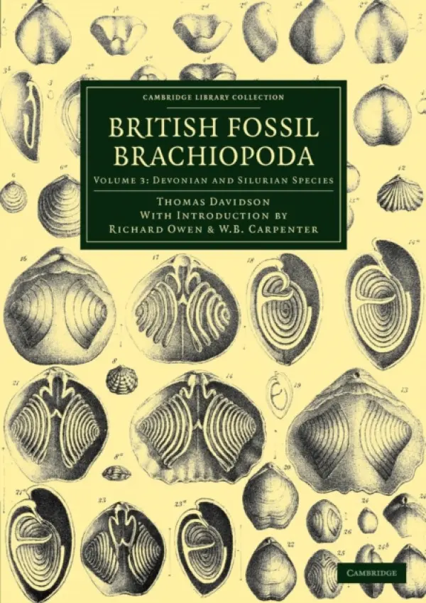 British Fossil Brachiopoda - Davidson, Thomas