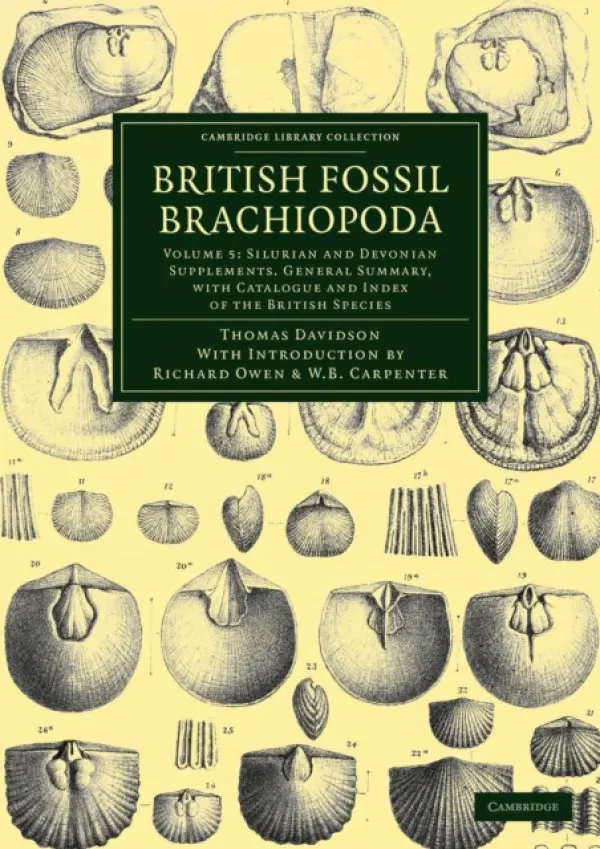 British Fossil Brachiopoda - Davidson, Thomas