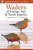 Waders of Europe, Asia and North America - Stephen Message