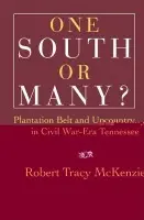 One South or Many? - McKenzie, Robert Tracy (University of Washington)