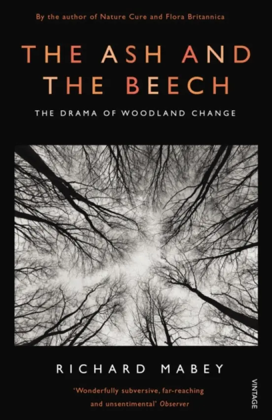 Ash and The Beech - Mabey, Richard