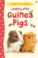 Looking after Guinea Pigs - Howell, Laura