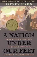 Nation under Our Feet - Hahn, Steven