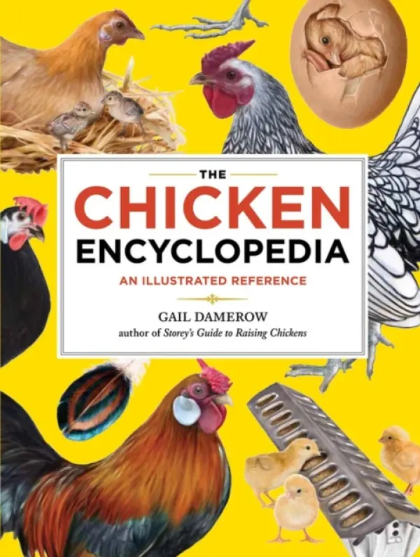 Chicken Encyclopedia - Damerow, Gail