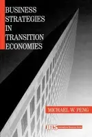 Business Strategies in Transition Economies - Peng, Michael W.