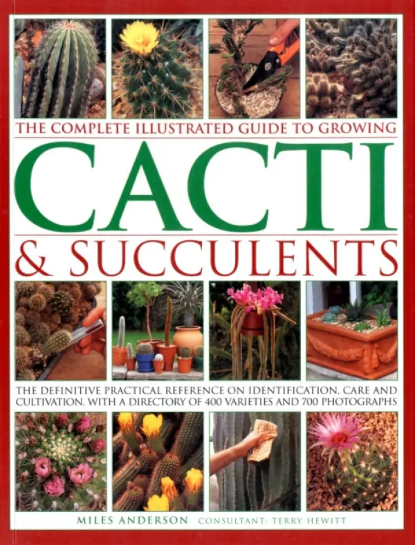 The Complete Illustrated Guide to Growing Cacti & Succulents - Miles Anderson