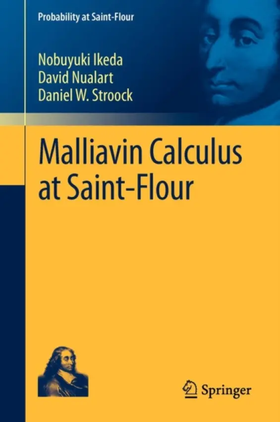 Malliavin Calculus at Saint-Flour - Ikeda, Nobuyuki a Nualart, David a Stroock, Daniel W.