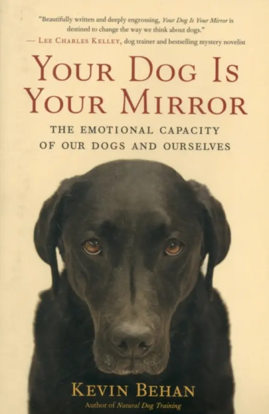Your Dog Is Your Mirror - Kevin Behan