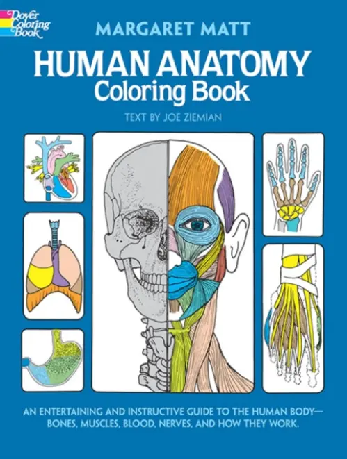 Human Anatomy - Matt, Margaret a Ziemian, Joe