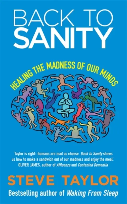 Back to Sanity - Taylor, Steve