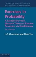 Exercises in Probability - Chaumont, Loic (Universite d'Angers, France) a Yor, Marc (Universite de Paris VI (Pierre et Marie Curie))