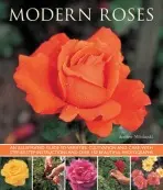Modern Roses - Mikolajski, Andrew