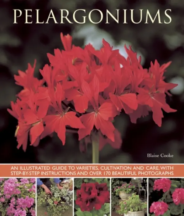Pelargoniums - Cooke, Blaise