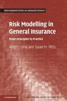 Risk Modelling in General Insurance - Gray, Roger J. (Heriot-Watt University, Edinburgh) a Pitts, Susan M. (University of Cambridge)