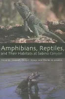 Amphibians, Reptiles, and Their Habitats at Sabino Canyon - Lazaroff, David W. a Rosen, Philip C. a Lowe, Charles H. Jr.