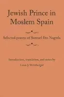 Jewish Prince in Moslem Spain
