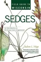 Field Guide to Wisconsin Sedges - Hipp, Andrew